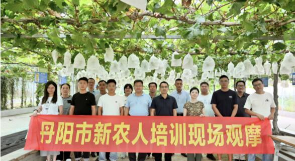 【人大代表在身邊】從“有回音”到“有佳音” 代表建議如何落地生根？